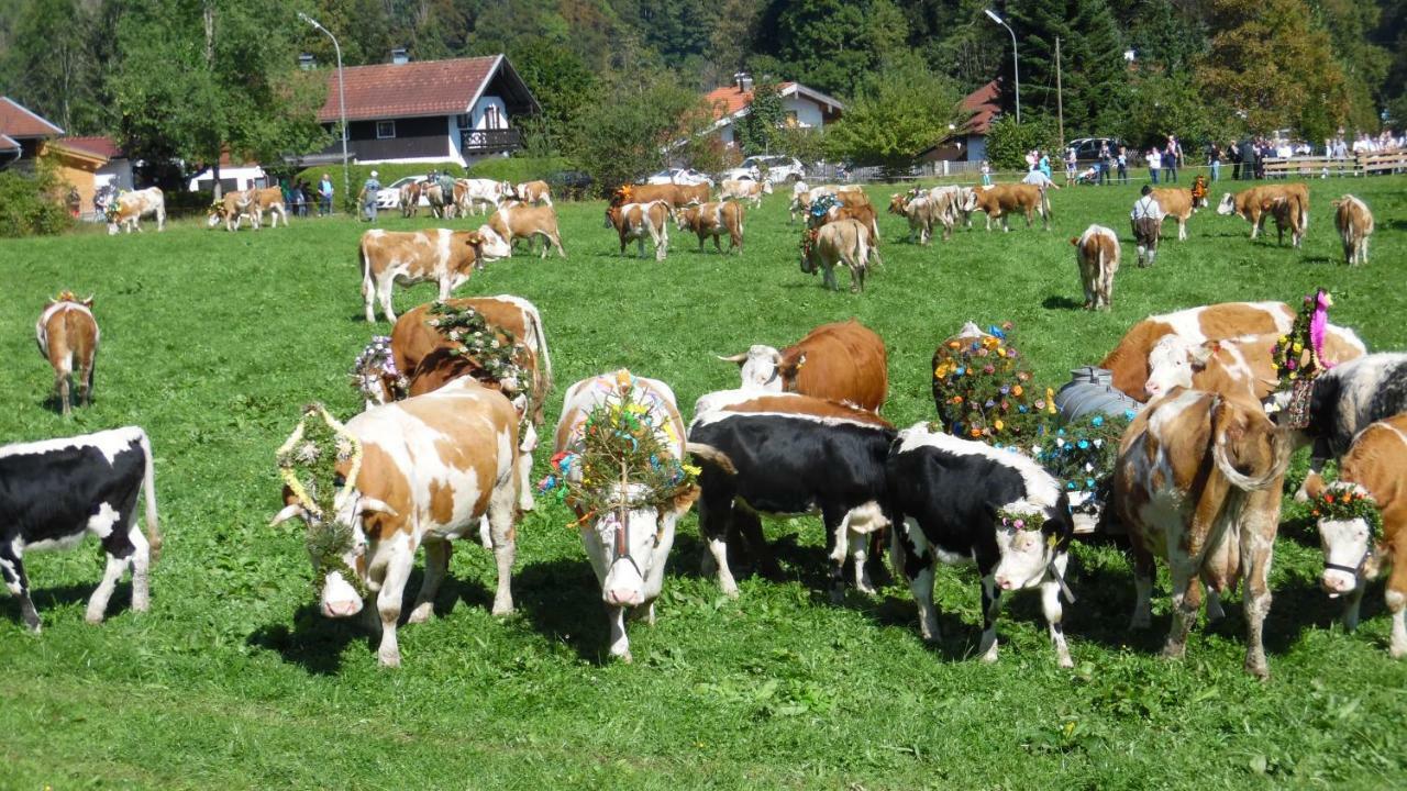 Ferienwohnung Fritzenwenger Übersee Exteriör bild