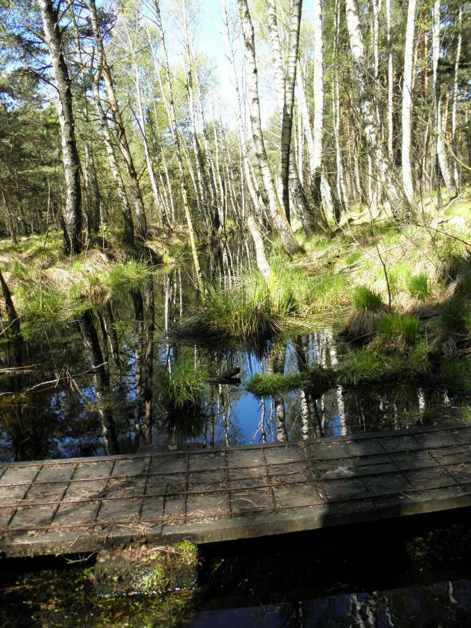 Ferienwohnung Fritzenwenger Übersee Exteriör bild
